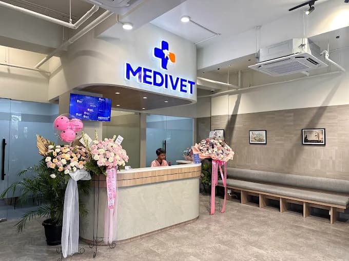 Medivet Kelapa Gading